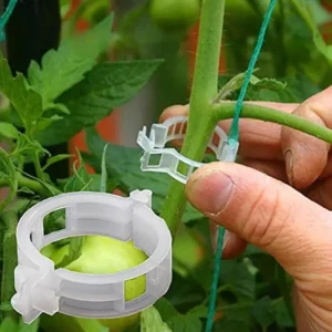 Zaciski plastikowe do roślin (100 sztuk) BIOTIE